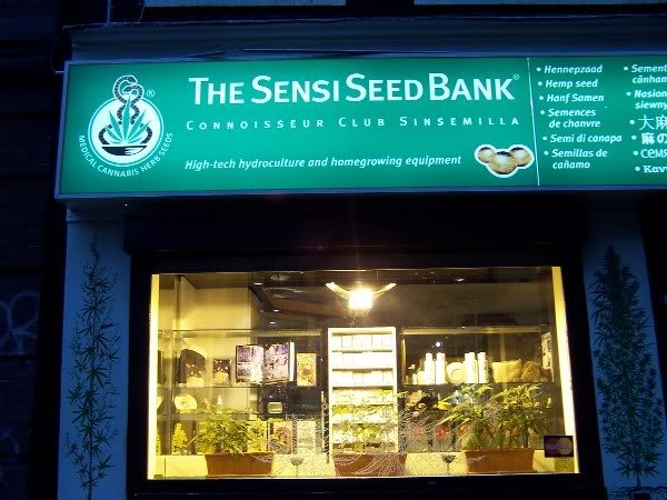 amsterdam-sensi-seed-bank