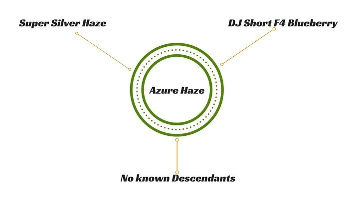azure-haze-hybrids