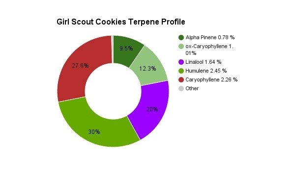 girl scout cookies terpene profile