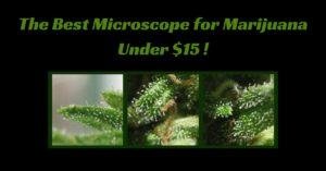 microscope marijuana under $15