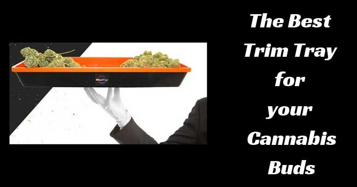 The-Best--Trim-Tray--for--Cannabis-Buds