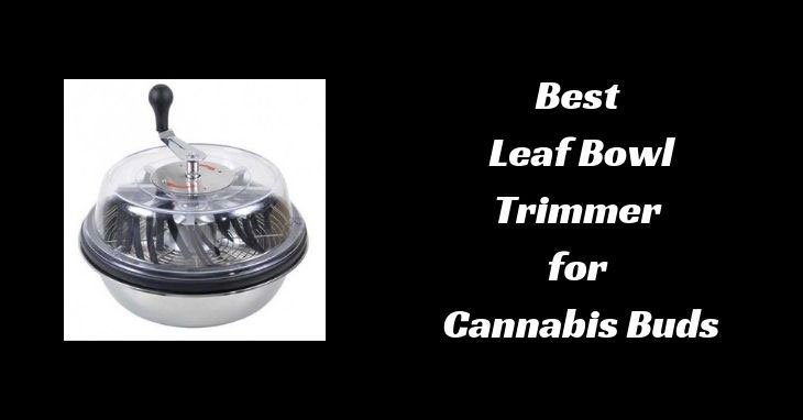 leaf-bowl-trimmer