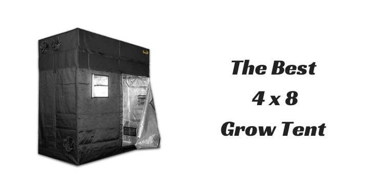 Best 4x8 Grow Tent